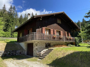 Beautiful apartment in Auronzo di Cadore with garden
